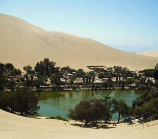 Full Day Paracas – Ica – Huacachina